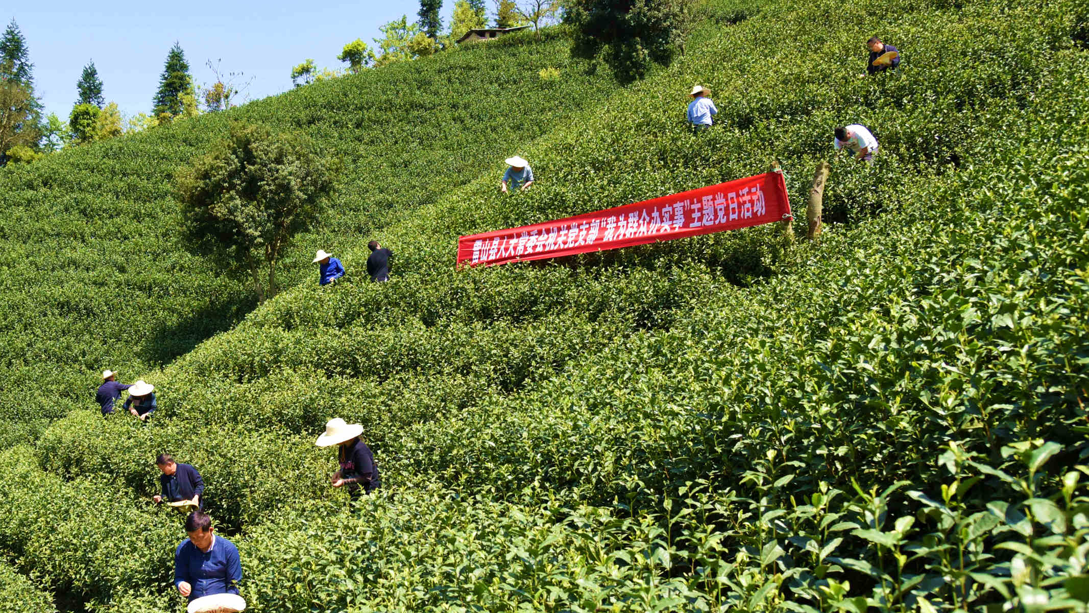 雷山：以“大走访”为引领，深入开展“我为群众办实事”实践活动