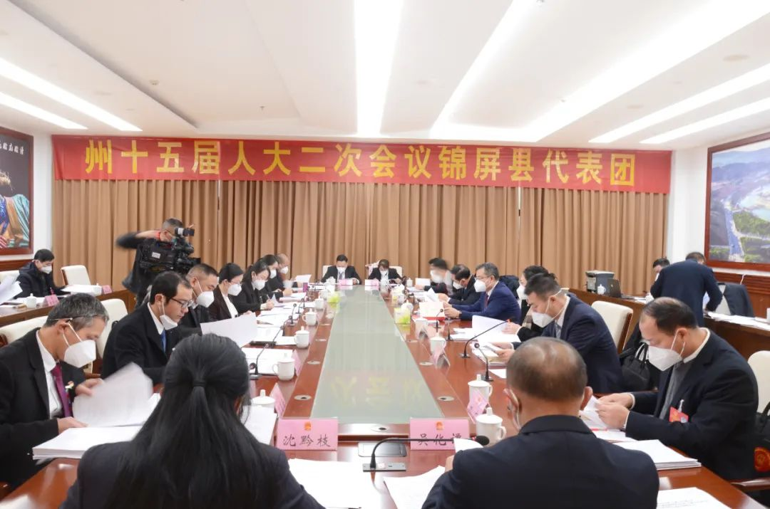 汤越强参加锦屏代表团审议