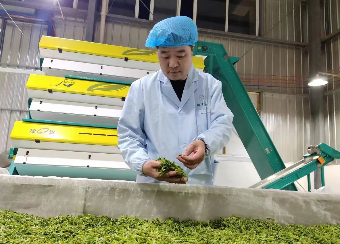一片叶子带富一方百姓用心用情助推经济社会高质量发展丨记雷山县第十八届人大代表吴先海先进事迹