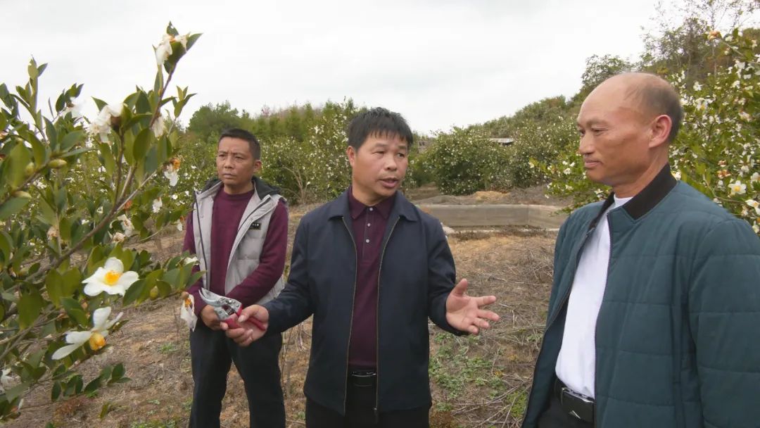 袁昌选:坚持科技创新服务,推动油茶产业高质量发展 丨记黔东南州十五届人大代表袁昌选先进事迹