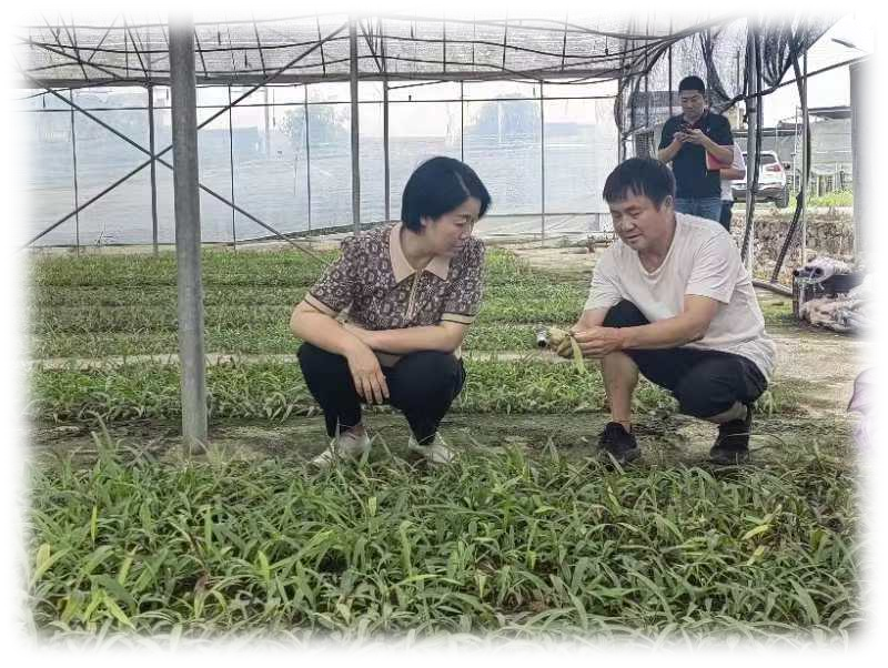 杨满英：倾心为民谋发展 真情实干践初心