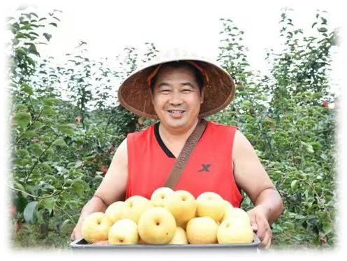 雷安民：带领群众发展经果林 助力乡村振兴奔富路