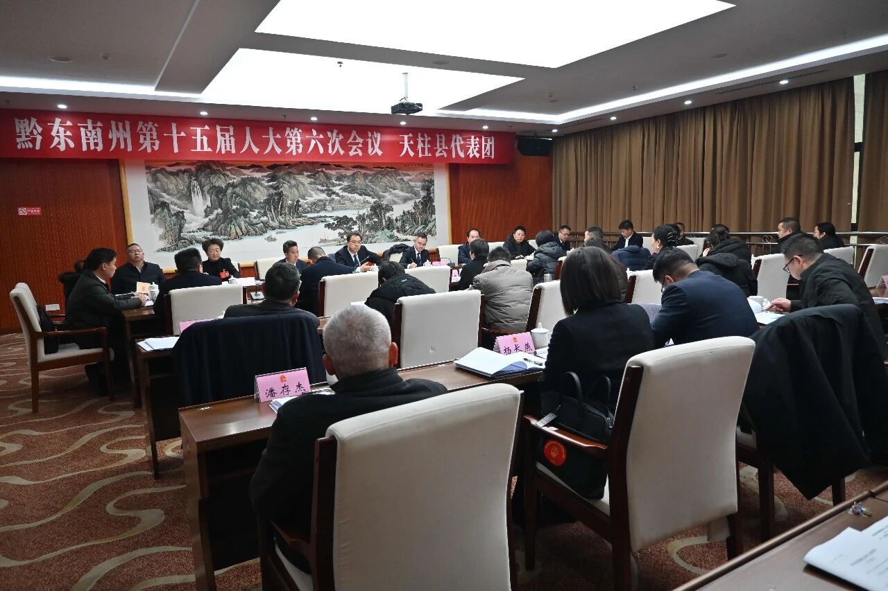 刘开树参加天柱代表团审议